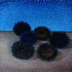 n11