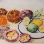 naturamorta_20
